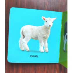 كتابى اللوحى الصغير إنجليزى - 6 كتب