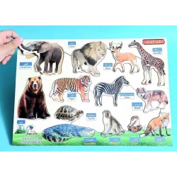 بازل مطابقة كبير  25*35 سم