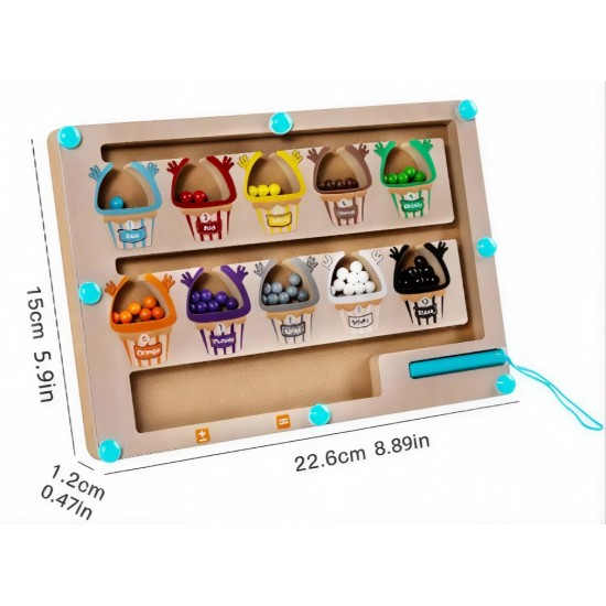 متاهة العد والتصنيف المغناطيسية